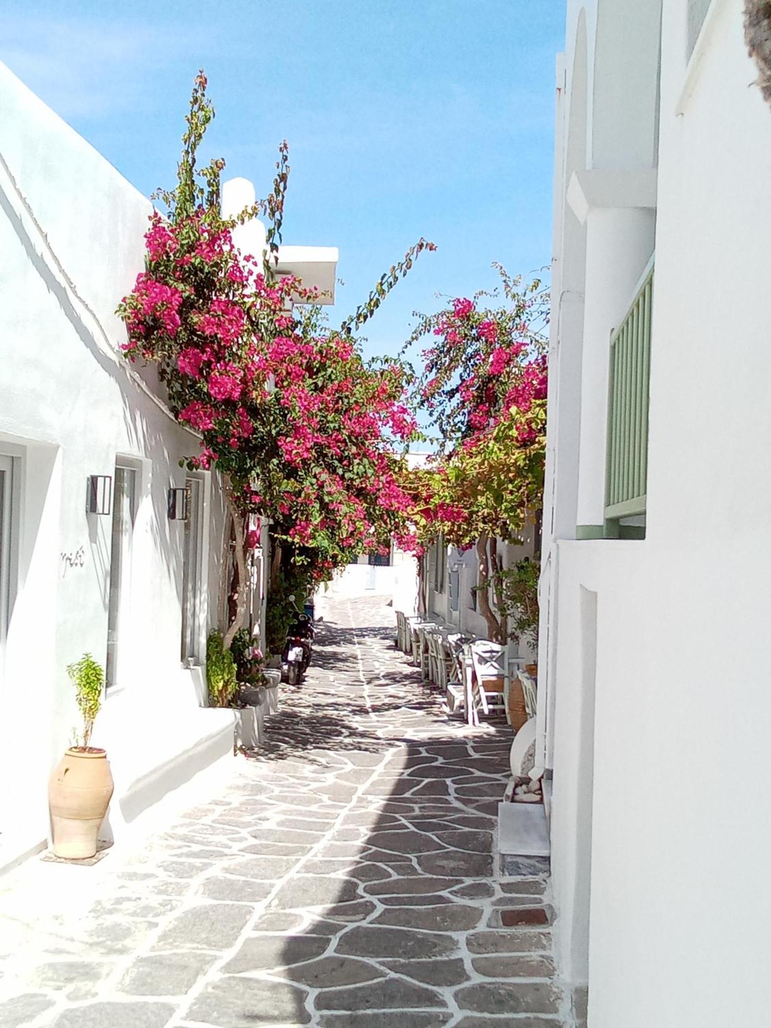 Sunloft-Paros Aparthotel เนาซา ภายนอก รูปภาพ